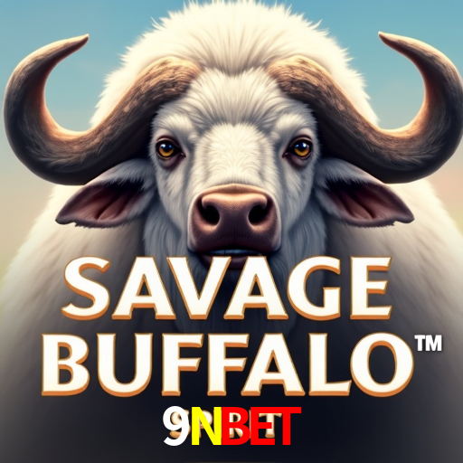 Apostas Esportivas na 9Nbet: Um Guia Completo